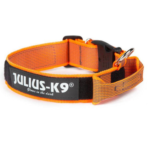 Julius K9 Color&Gray Collar with Handle – 50mm Wide, Safety Lock, Black, Durable Design