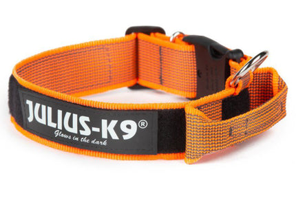 Julius K9 Color&Gray Collar with Handle – 40mm Wide, Safety Lock, Black, Durable Design