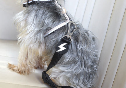 Dashi Solid Black Seat Belt – Adjustable Car Leash with Secure Clip, Durable Nylon Design