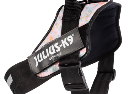 Julius-K9 IDC Powerharness Pretty – Reflective Floral Pattern Harness with Secure Fit