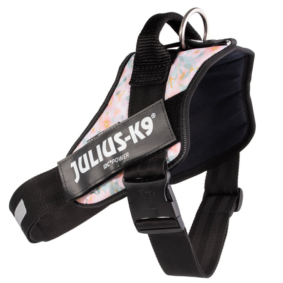 Julius-K9 IDC Powerharness Pretty – Reflective Floral Pattern Harness with Secure Fit