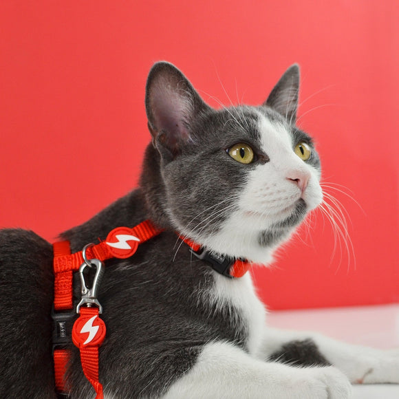 Dashi Solid Cat Harness and Leash Set – Adjustable Brown Design, Secure and Comfortable