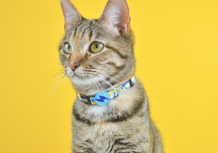 Dashi Nebula Cat Collar – Blue and Yellow Abstract Pattern, Adjustable and Lightweight