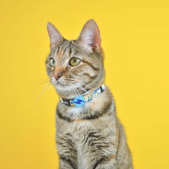 Dashi Nebula Cat Collar – Blue and Yellow Abstract Pattern, Adjustable and Lightweight