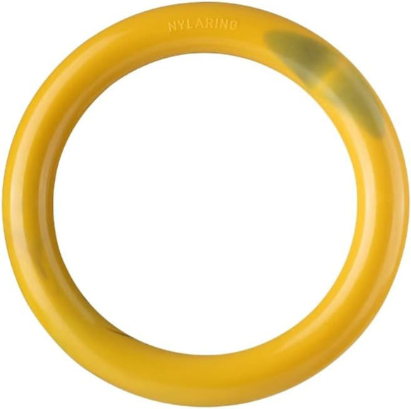 Nylabone Extreme Ring Chew L – Durable Cheese and Bacon Flavored Chew Toy, Large Size