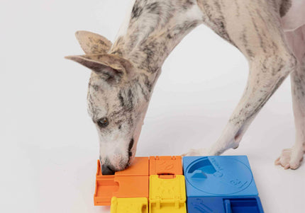 Pawzler Interactive Dog Puzzle Rainbow Set – Modular Enrichment Toy, 8-Piece Colorful Design