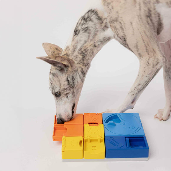 Pawzler Interactive Dog Puzzle Rainbow Set – Modular Enrichment Toy, 8-Piece Colorful Design