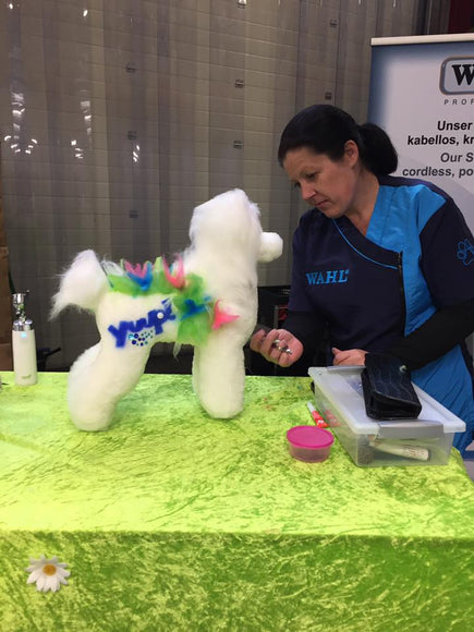 Yuup! Professional Cordless Airbrush – Lightweight Rechargeable Hair Coloring Tool with Precision Control