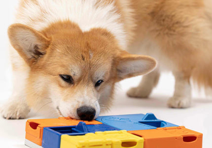 Pawzler Interactive Dog Puzzle Rainbow Set – Modular Enrichment Toy, 8-Piece Colorful Design