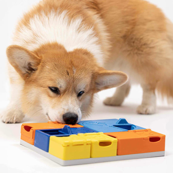 Pawzler Interactive Dog Puzzle Rainbow Set – Modular Enrichment Toy, 8-Piece Colorful Design