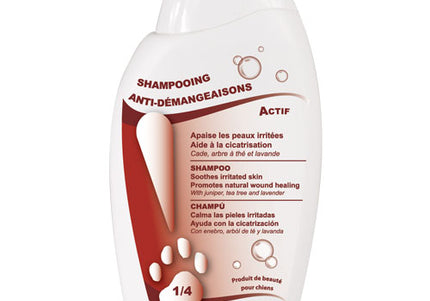 Dog Generation Anti-Itching Shampoo – Concentrated 1:4 Formula, 250ml, Soothes Sensitive Skin