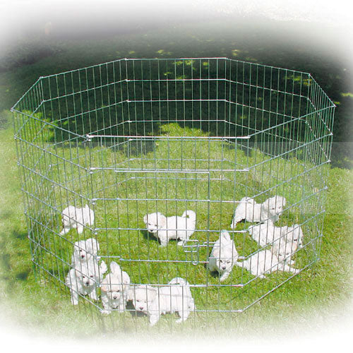 Show Tech X Pen Metal Puppy Playpen – 8 Panel Dog Fence, 76cm Height, Durable Design