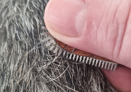 Groomer.dk Rock'N'Roll Revolution Stripping Knife Left – Rounded Teeth, Ergonomic Left-Handed Design