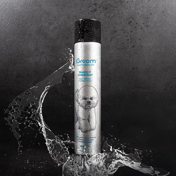 iGroom Shape It Hairspray 284g – Quick-Drying Fixing Spray with Strong Hold Formula