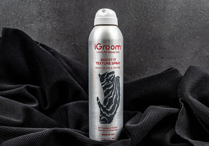 iGroom Boost It Texture Spray 198g – Volumizing and Texturizing Formula, Lightweight Finish