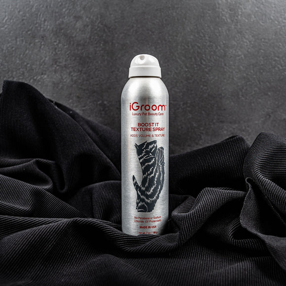 iGroom Boost It Texture Spray 198g – Volumizing and Texturizing Formula, Lightweight Finish