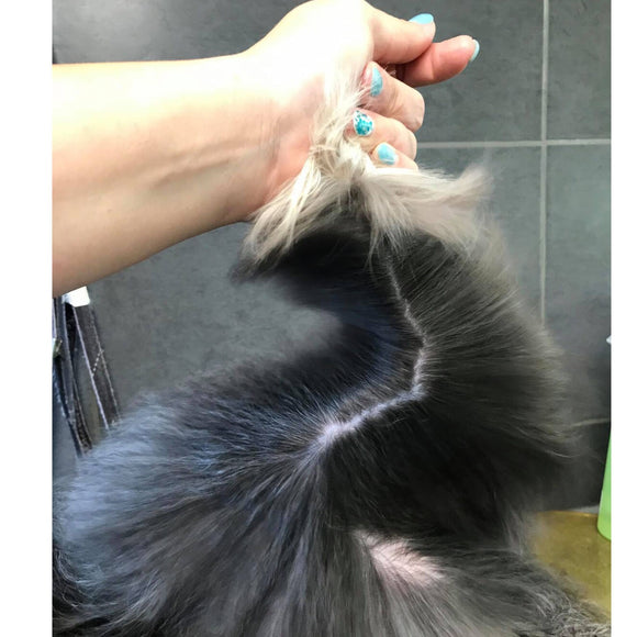 Show Tech+ Quick Fix Spray 500ml – Detangling and Conditioning Formula, Prevents Dirt Build-Up