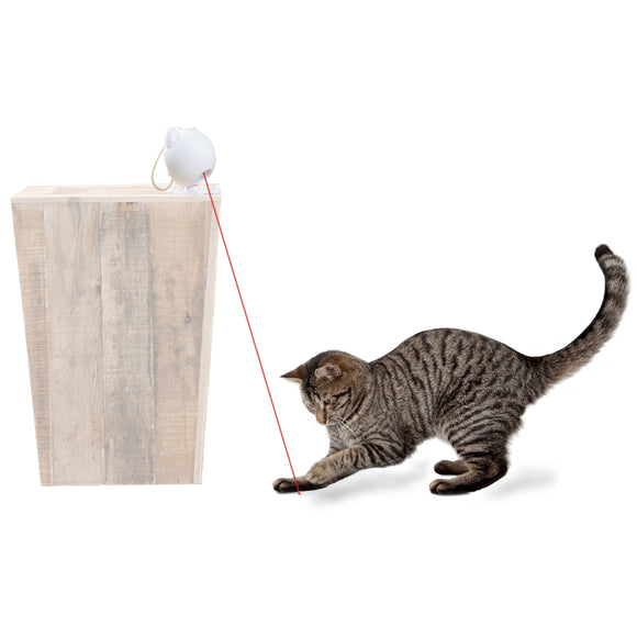 PetSafe Dancing Dot Laser Cat Toy – Interactive Automatic Laser with Adjustable Timer