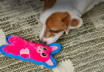 Outward Hound Durablez Pig Squeaky Toy – 16cm Unfilled Pink Plush, Durable Playtime