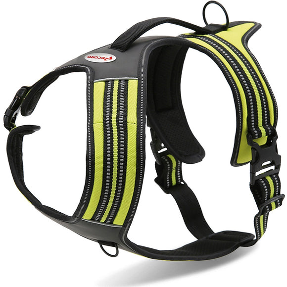 Record Action Alpi Harness Lime – Reflective, Comfortable Lime Green Dog Harness, Size Small