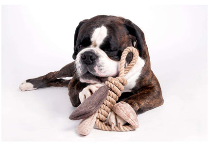 Flamingo Rope Butterfly Tug Toy – Durable Squeaky Rope with Butterfly Design