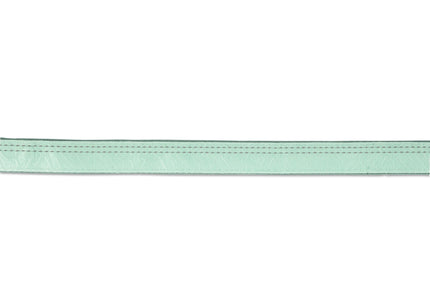 Max&Molly Matrix 2.0 Multi-Function Leash Jade – Reflective Detachable Design, Mint, Medium