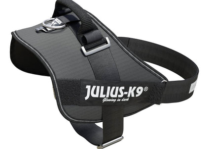 Julius-K9 IDC Powerharness Gray – Premium Adjustable Harness, Mini-Mini Size, Durable Design