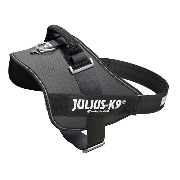 Julius-K9 IDC Powerharness Gray – Premium Adjustable Harness, Mini-Mini Size, Durable Design