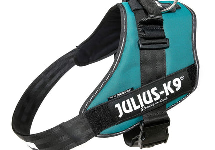 Julius-K9 IDC Powerharness Petrol Green – Top Quality Sea Green Harness, Size 4