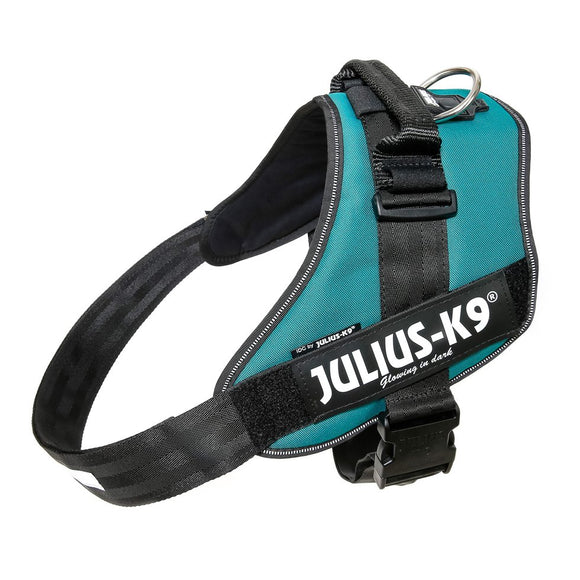 Julius-K9 IDC Powerharness Petrol Green – Top Quality Sea Green Harness, Size 4