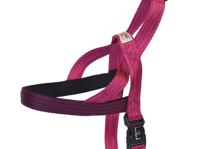 Hamilton Go Boldly Norwegian Dog Harness – Soft Nylon, Raspberry, Small Size, Comfortable Fit