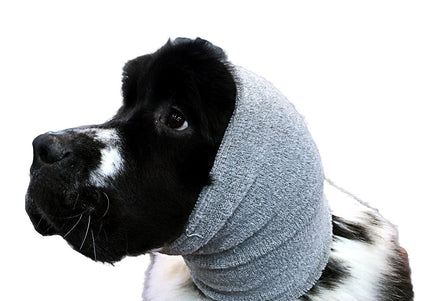 Show Tech Ear Buddy XL Gray Headband – Extra Large Calming Drying Aid for Sensitive Pets