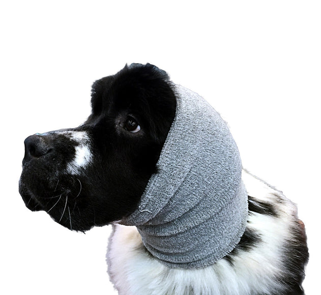 Show Tech Ear Buddy XL Gray Headband – Extra Large Calming Drying Aid for Sensitive Pets
