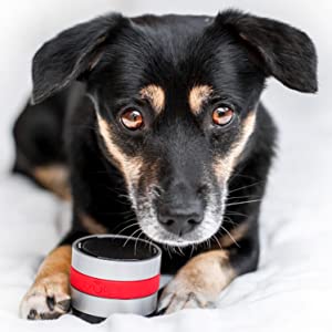 Relaxopet Animal Relaxation Trainer Pro – Calming Sound Device with Adjustable Settings, Stress Relief Aid