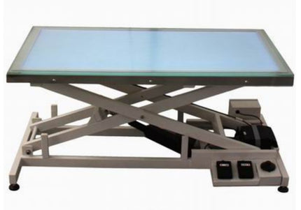 Blovi Luminous Grooming Table 120x65cm – Electric Lift, LED Glass Top, Professional Design