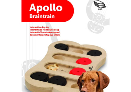 Flamingo Braintrain Apollo Interactive Puzzle Toy – Durable Educational Enrichment Game