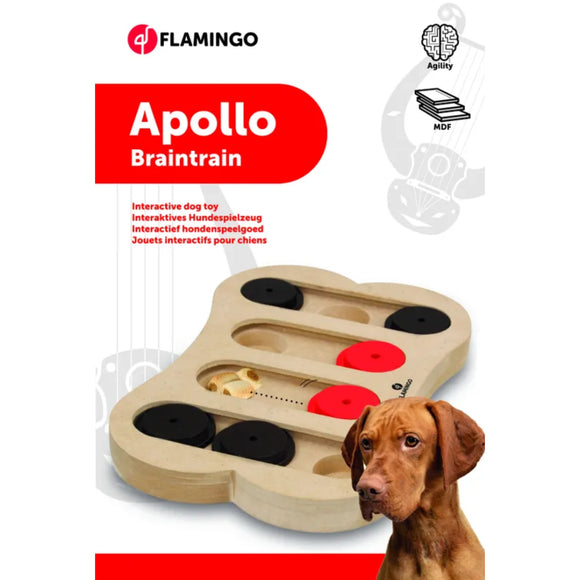 Flamingo Braintrain Apollo Interactive Puzzle Toy – Durable Educational Enrichment Game