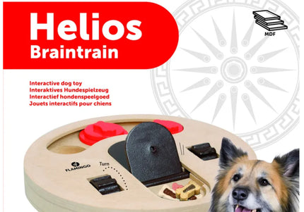 Flamingo Braintrain Helios Interactive Puzzle Toy – Durable Educational Enrichment Game