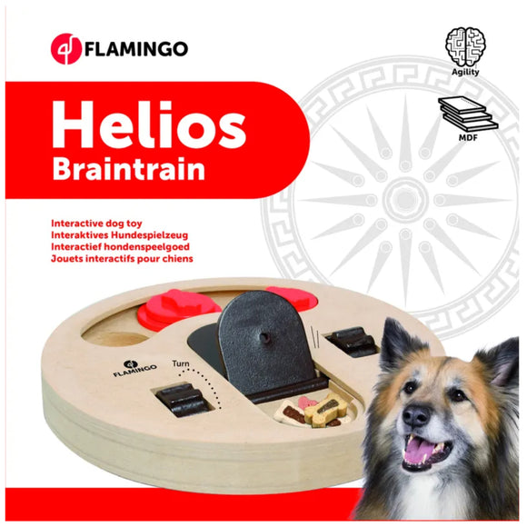 Flamingo Braintrain Helios Interactive Puzzle Toy – Durable Educational Enrichment Game