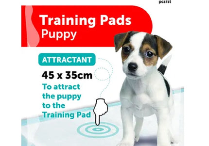 Flamingo Training Pads – Large Absorbent Pee Mats with Attractant, 20 Pack