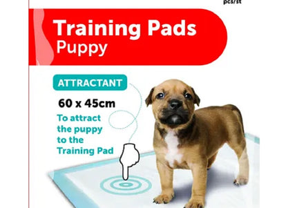 Flamingo Training Pads – Large Absorbent Pee Mats with Attractant, 20 Pack
