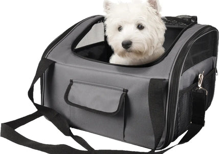 Flamingo Ida 2-in-1 Car Seat and Carrying Bag – Versatile Travel Solution, Up to 7kg, 44x34x32cm