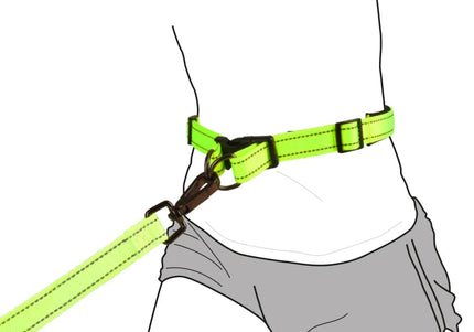 Flamingo Diran Jogging Leash Fluo – Shock-Absorbing Belt and Leash Set, Small Size
