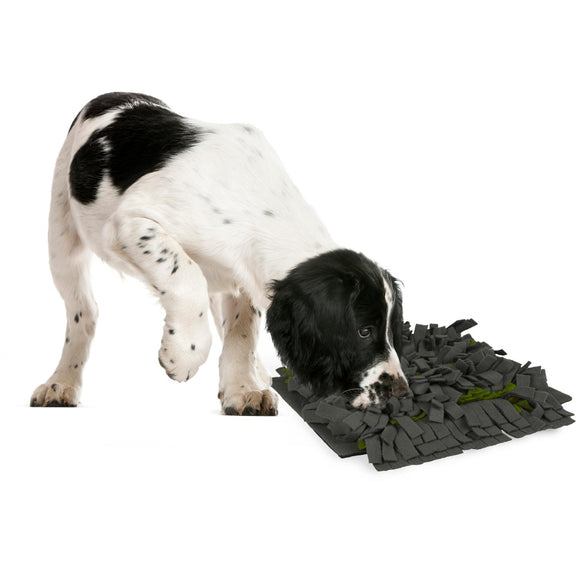 Flamingo Amigo Sniffing Carpet – Rectangular Grey Green Interactive Mat, 40x50cm