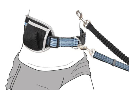 Flamingo Rono Jogging Leash – Cushioned Blue Dog Leash with Adjustable Hip Belt and Storage Pockets