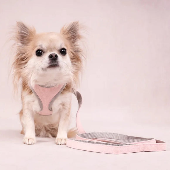 Flamingo Small Dog Leash Pink – Durable Nylon, 1.5x120cm, Lightweight and Comfortable