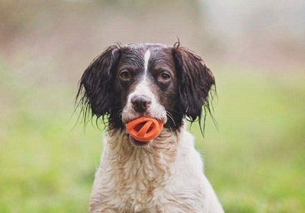 Chuckit! Breathe Right Fetch Ball Small – Soft Mesh Design, 2 Pack for Easy Carrying