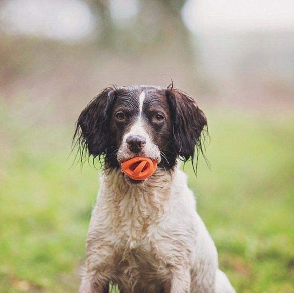 Chuckit! Breathe Right Fetch Ball Small – Soft Mesh Design, 2 Pack for Easy Carrying