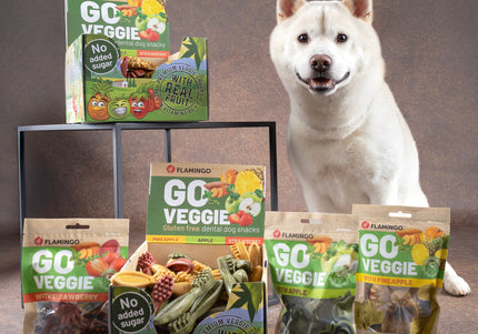 Flamingo Go Veggie Snacks with Pineapple 120g – Vegan Dog Treats, Pineapple Flavor, Healthy Reward
