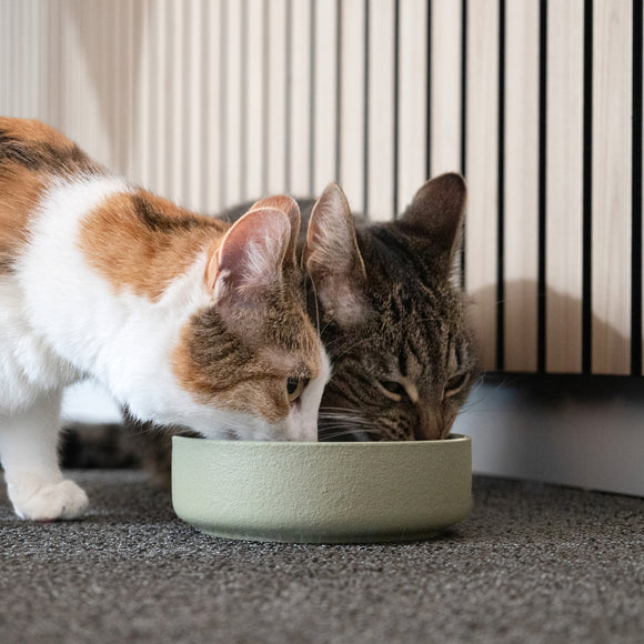 Flamingo Rama Ceramic Bowl Green – Large Durable Pet Feeding Dish, Non-Slip Base